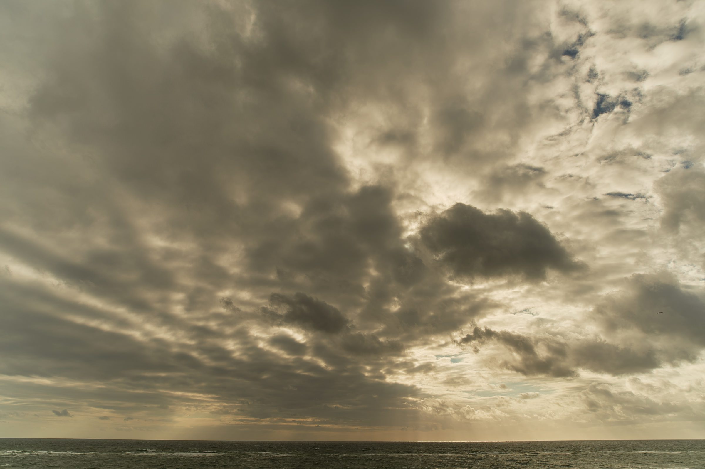 sylt3 11